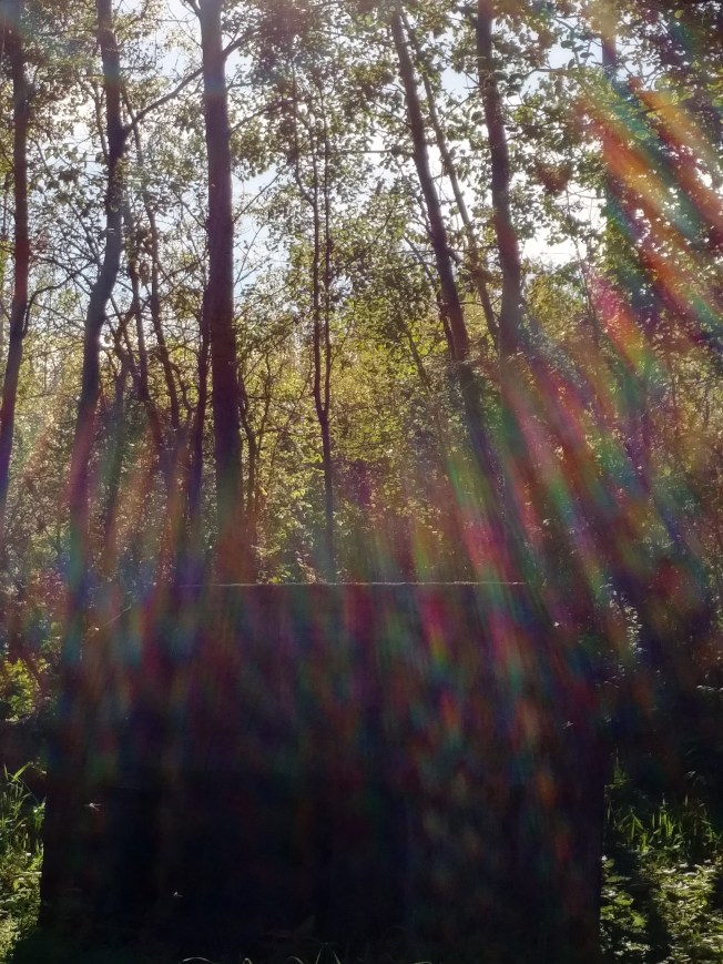 img_20160909_1756095